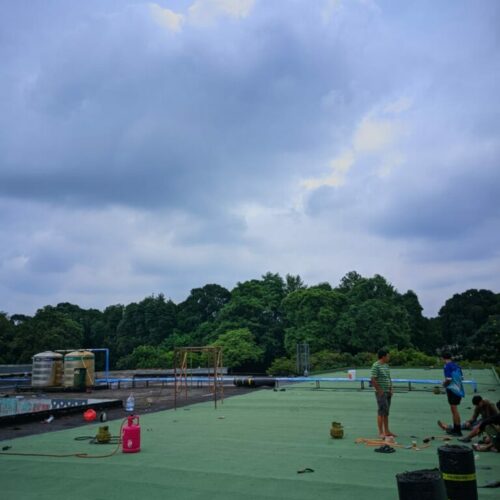 WhatsApp Image 2025-02-26 at 11.14.04